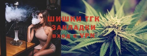 шишки Алексеевка